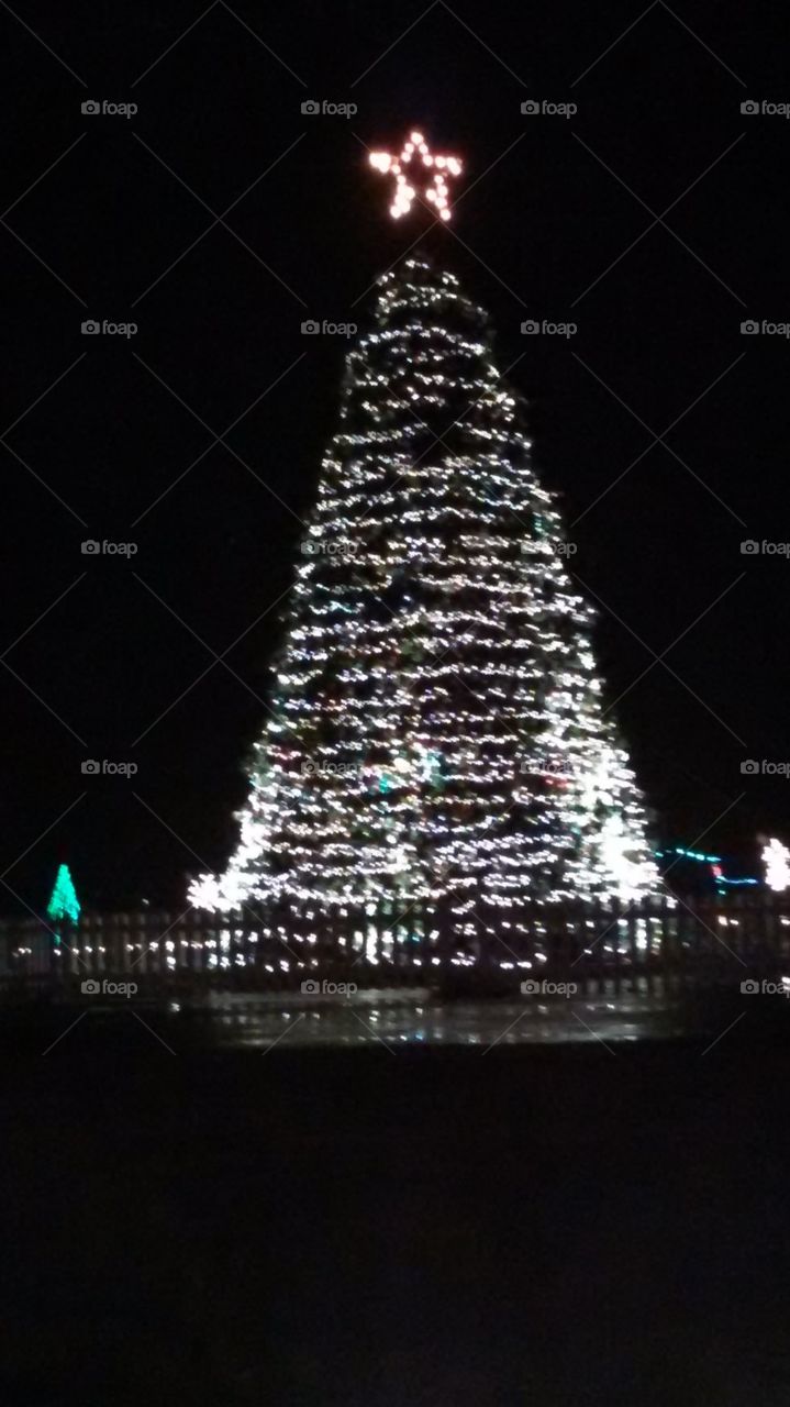 city Christmas tree