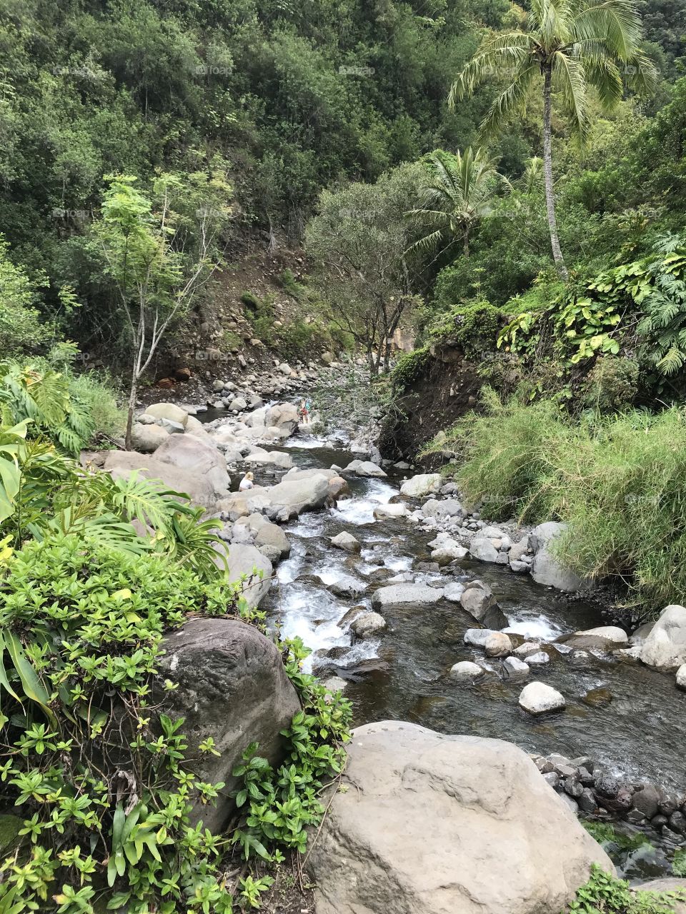 River in Ioa Star Park Maui