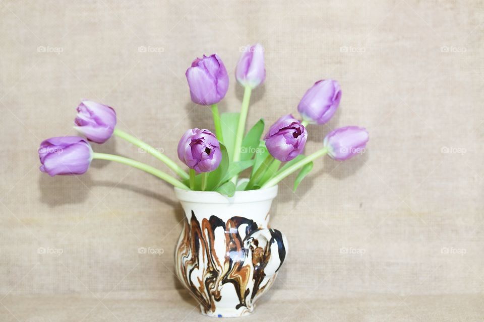 Purple tulips