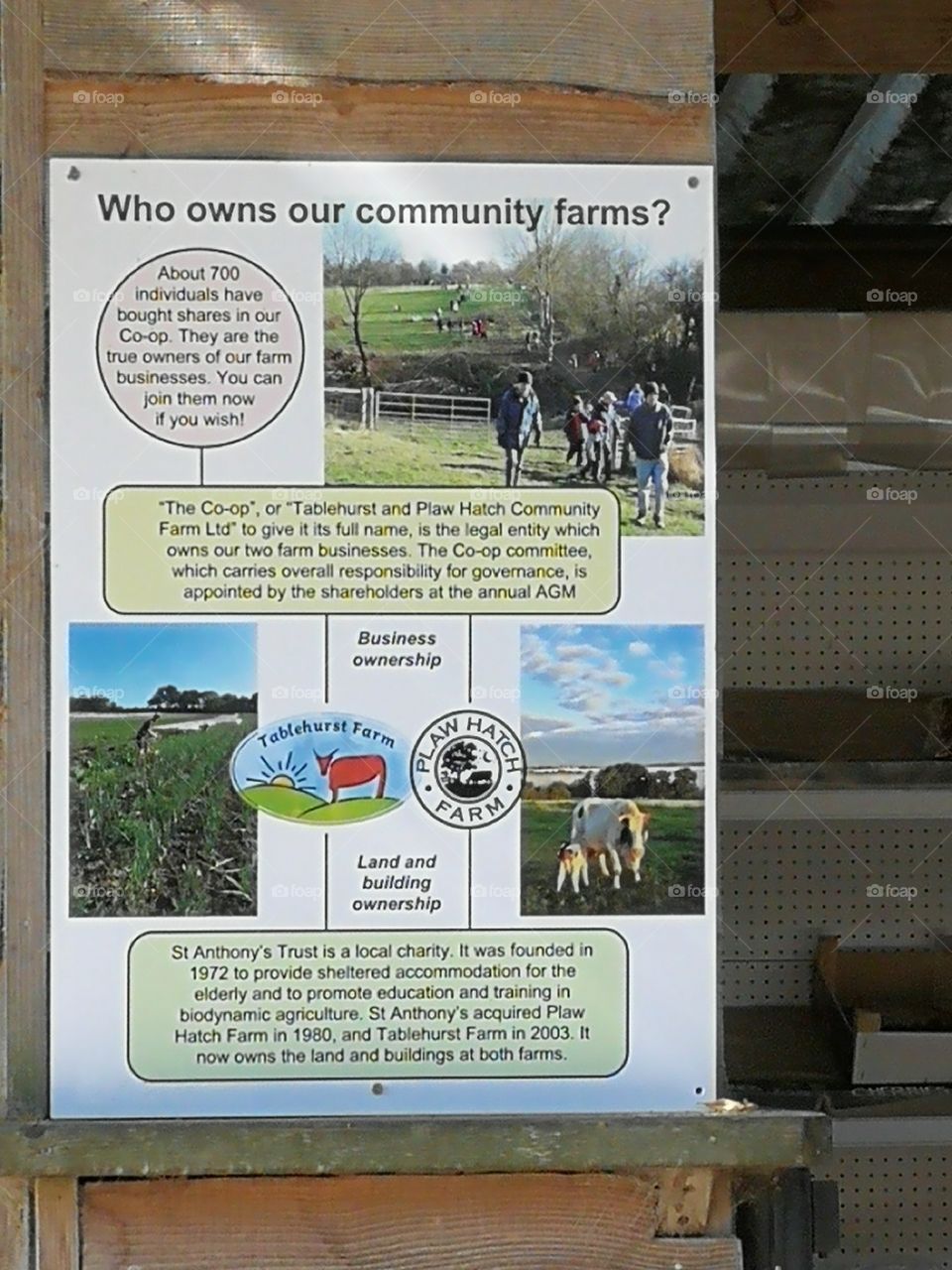 Tablehurst Farm - Community farm