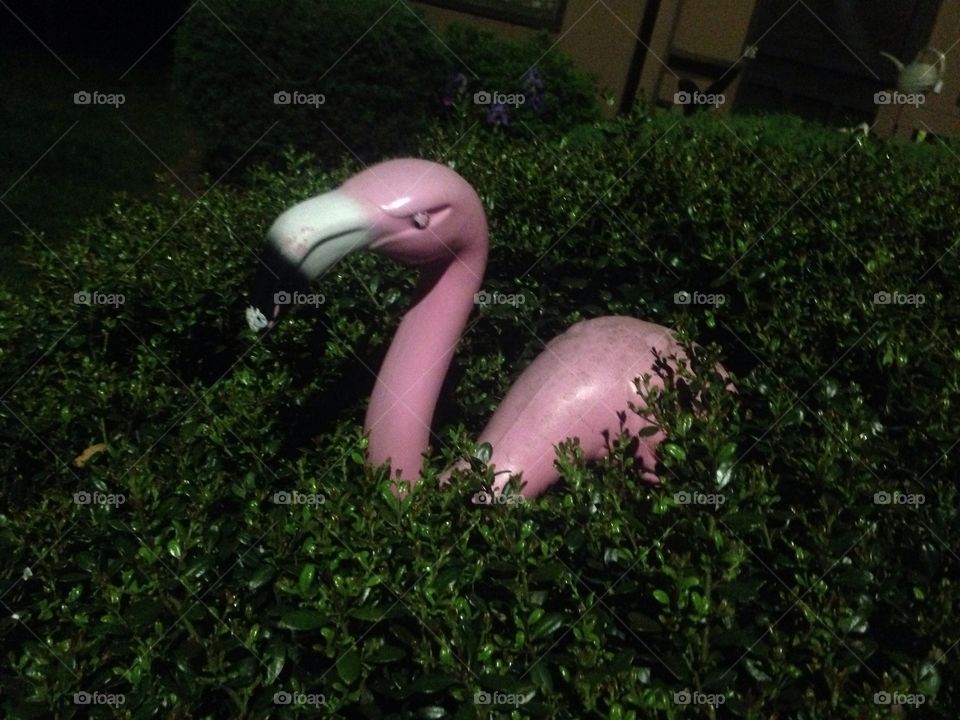 Plastic flamingo. A plastic pink flamingo in a bush