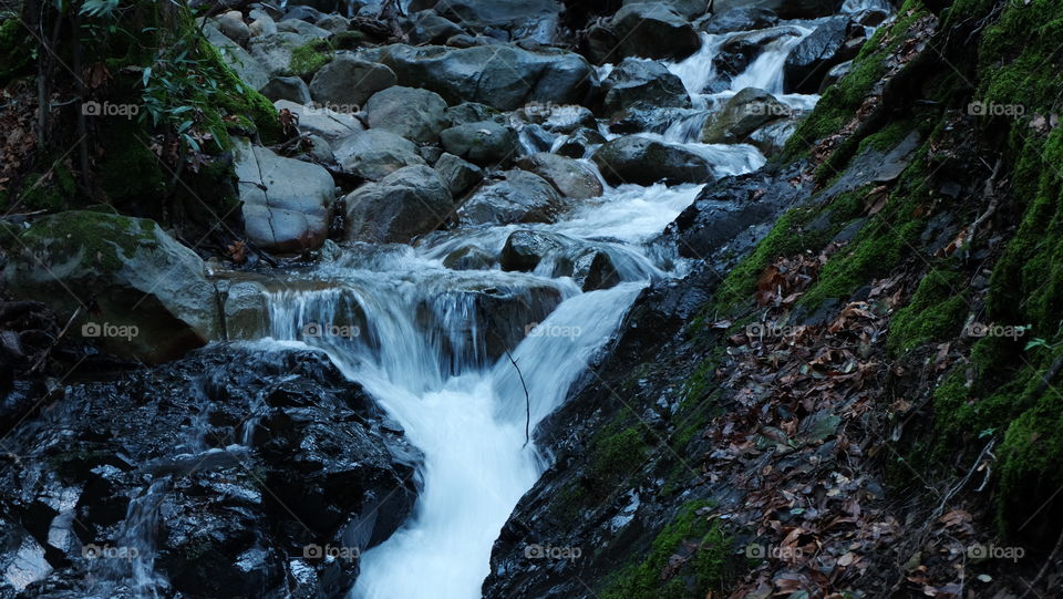 Swift water flowing in a stream