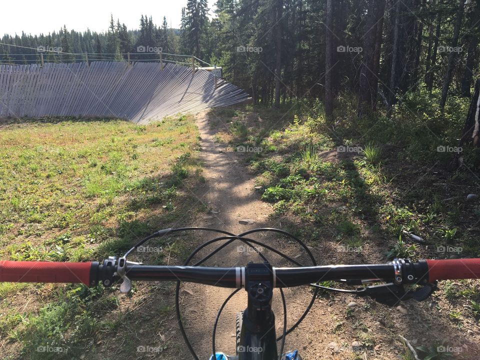 View behind handlebars