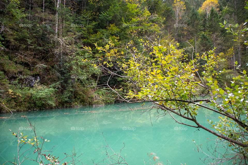 A Turquoise Water of a Mountain River in Autumn