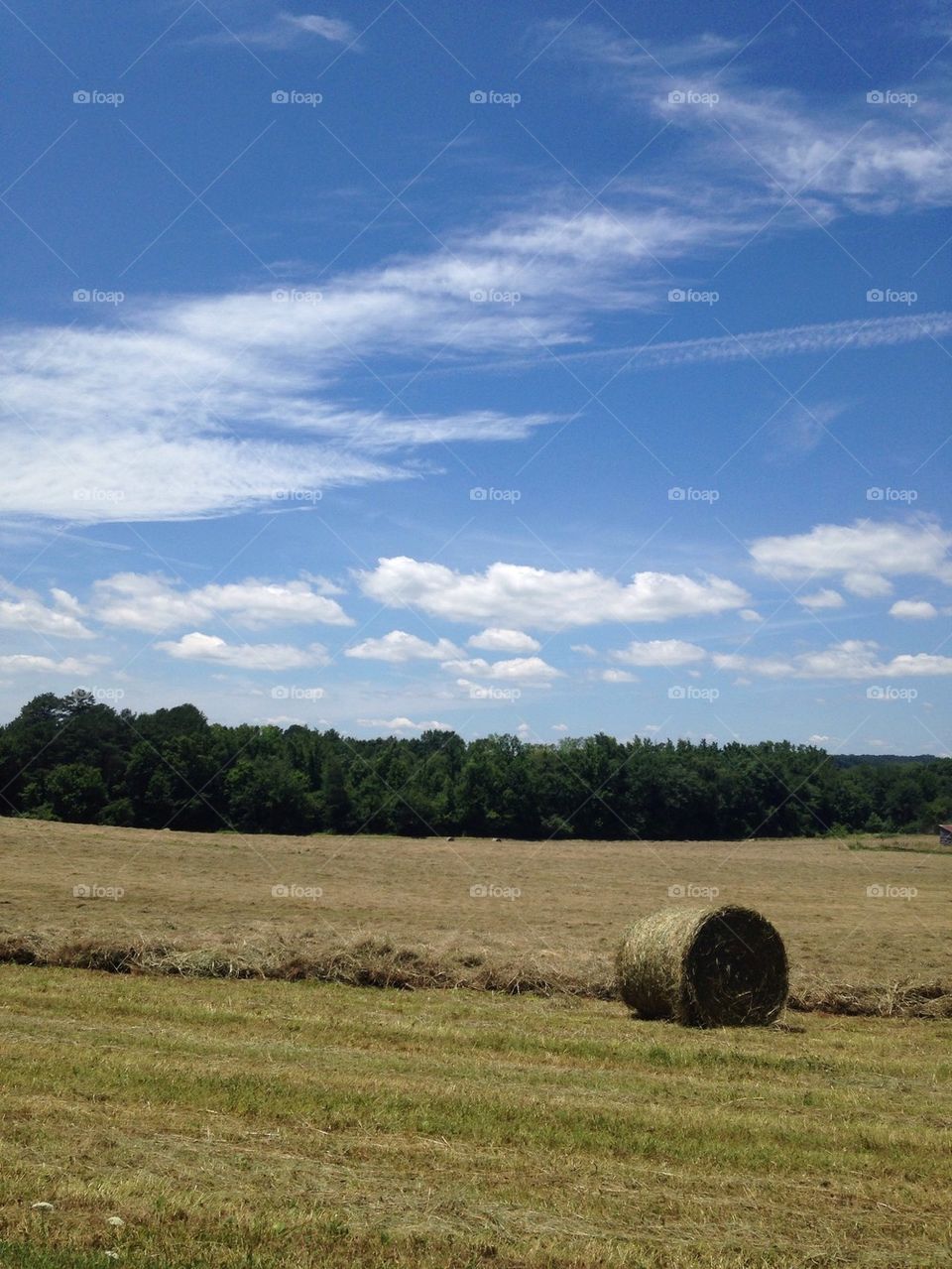 Field and the clouds