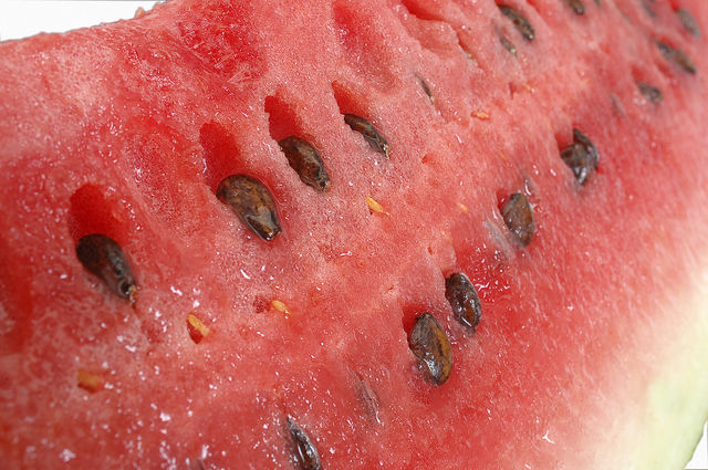 Fruit seed fund pin