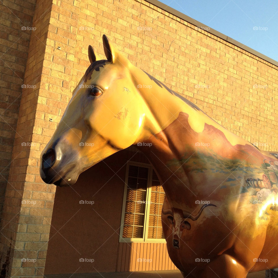 statue horse by detrichpix