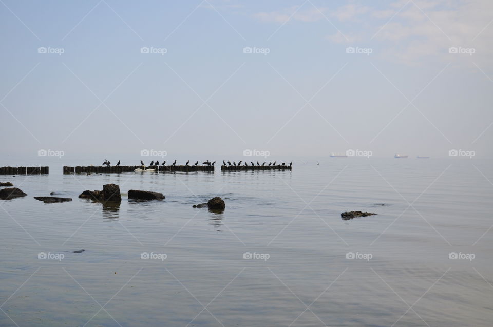 foggy day at the Baltic sea coast in Poland