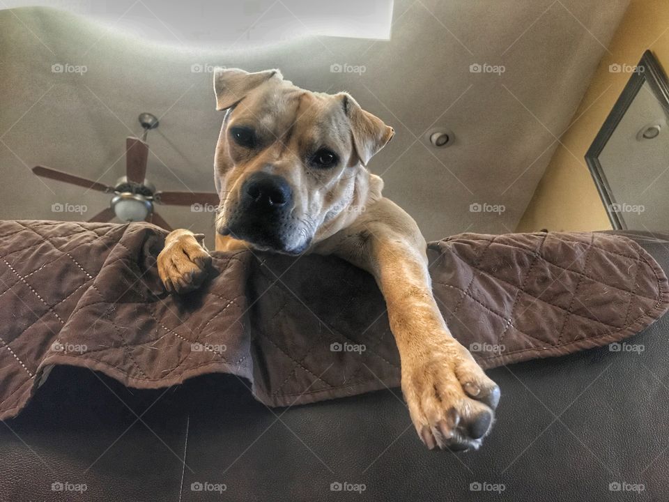 What are you looking at?