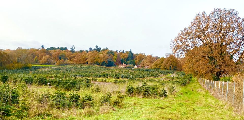 Autumn in English territory 