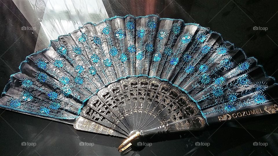 Spanish Hand Fan