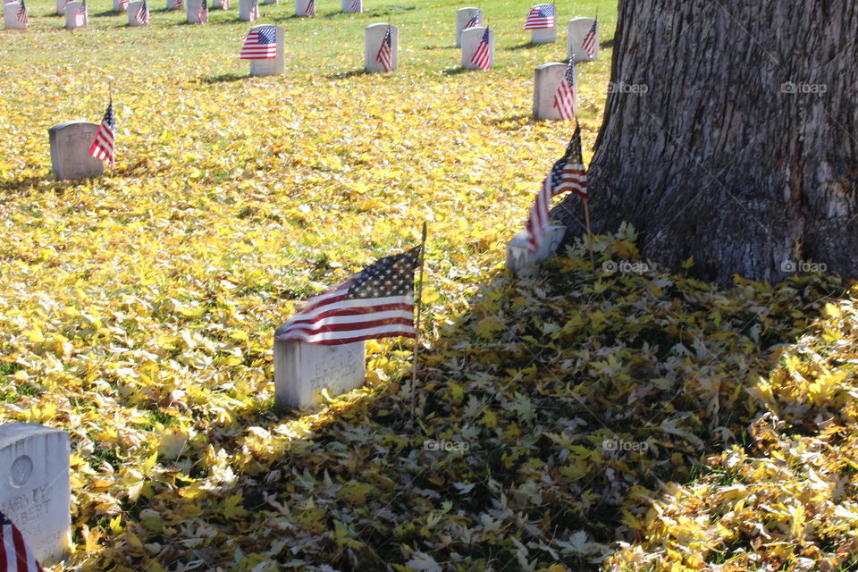 Caress The Fallen. The wind kicked up and Old Glory caressed the headstone of a fallen hero.