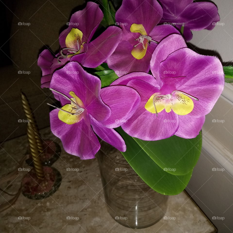 jarra orquídeas