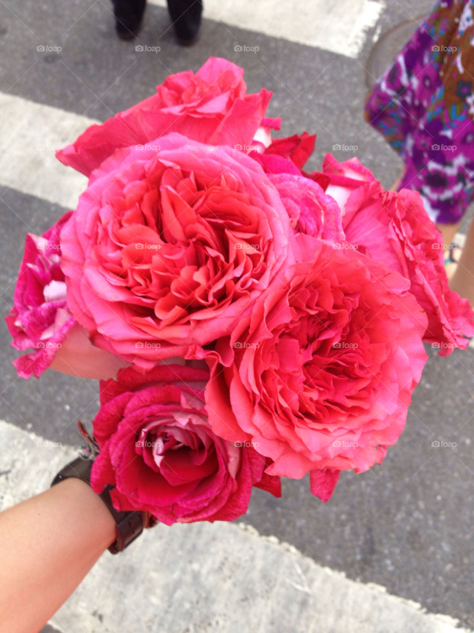 street flowers pink roses by monish