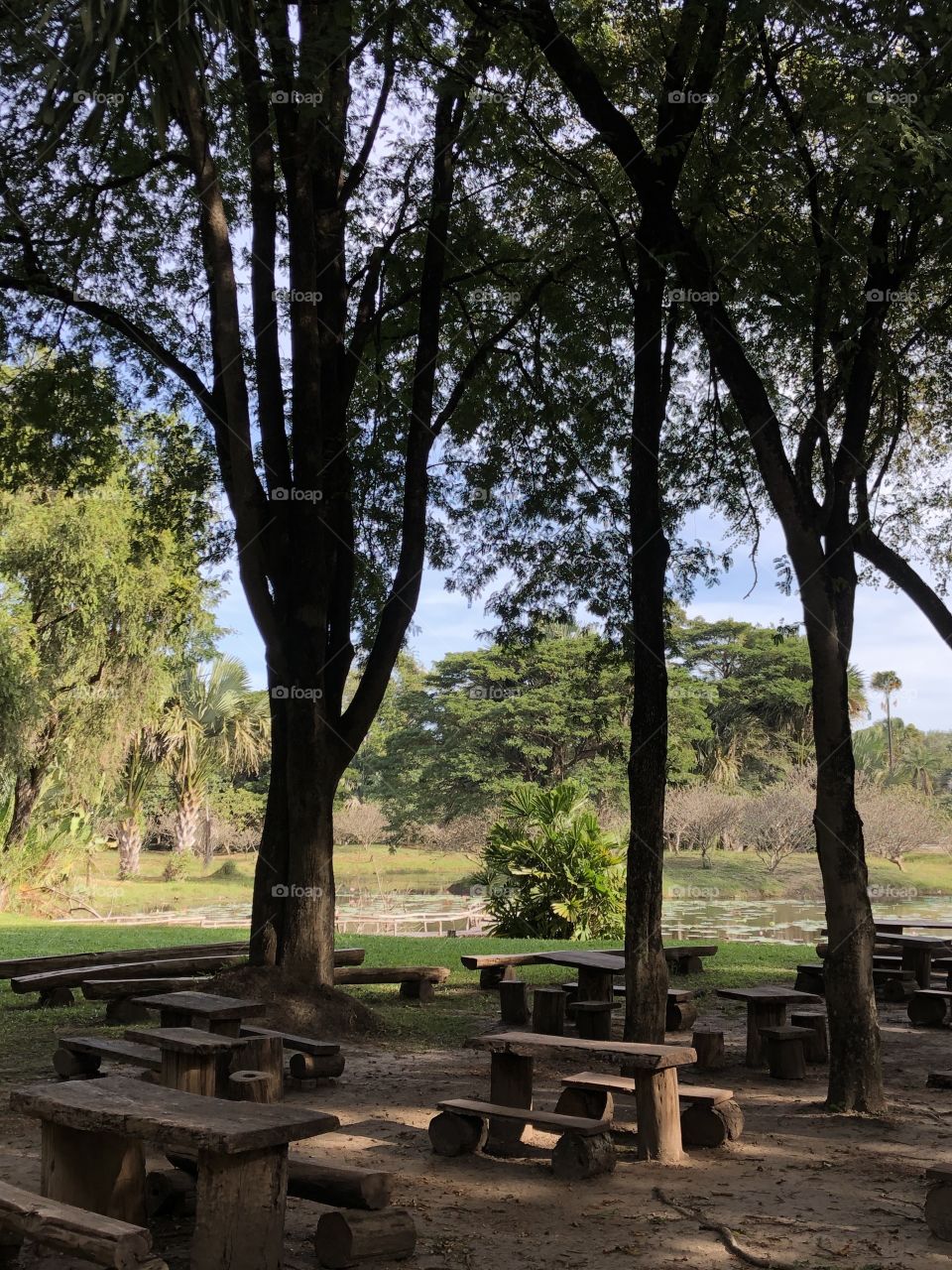 The signs of the nature ,Pukae Botanical Garden.