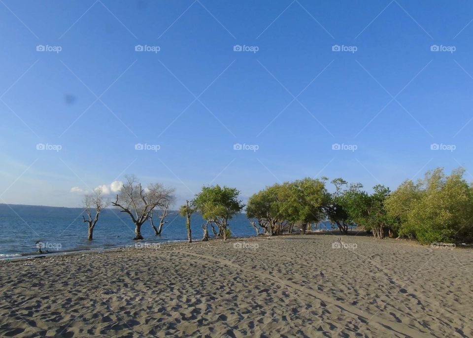 Sand beach of grey to the corner side disrict of Sumbawa . Famous site called for Pantai Labuhan Sawo. Kindly category of tourism beach . The site's located not metres from the mangrofe tourism and also the fishpound industry of tambakk .