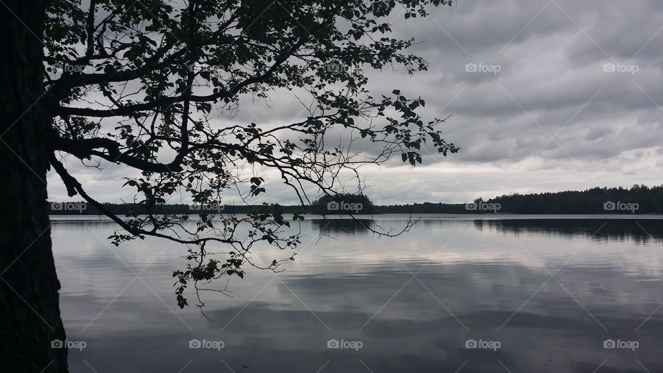 Tree, Landscape, Lake, Water, Reflection