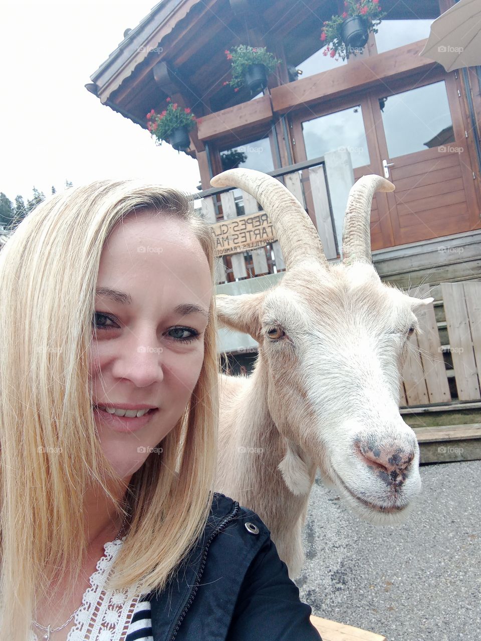 selfie avec une chèvre souriante