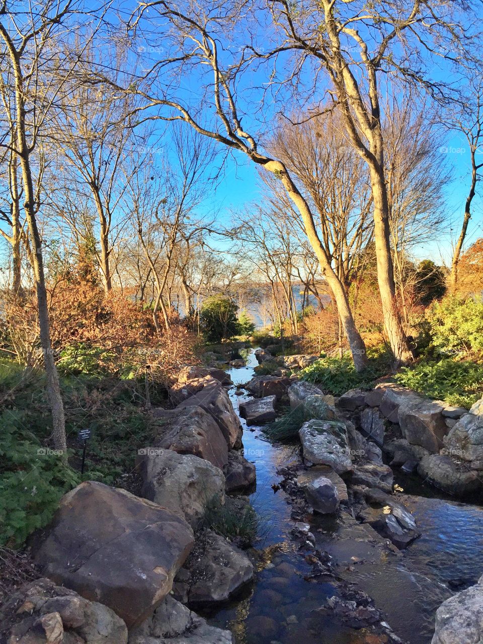 Dallas Arboretum. Visited the Dallas Arboretum next to White Rock Lake in east Dallas in January