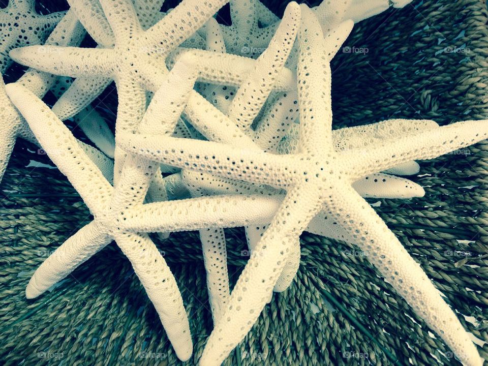 Starfish