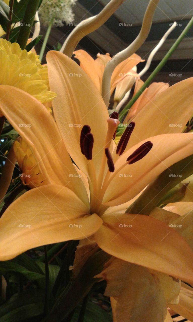 Lilly L.A. variety. Found in this arrangement, and very prominent because of the color.