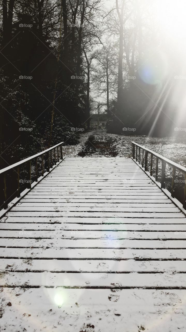 snowy bridge in the forest snow white