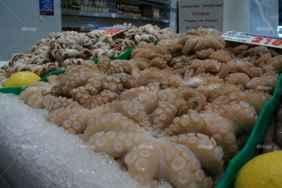Fresh Octopus  🐙