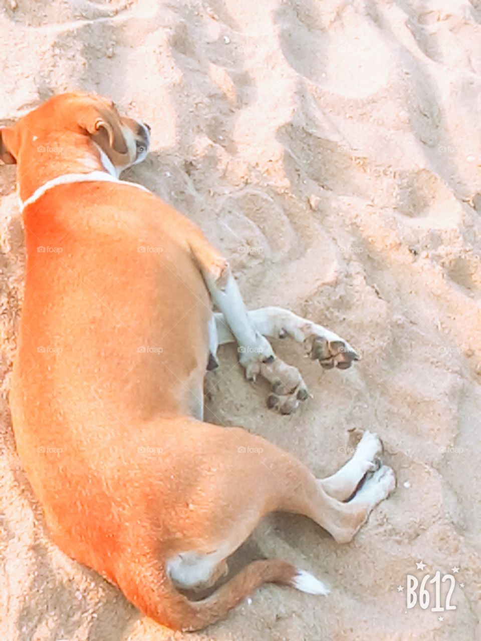 Sleeping on sand