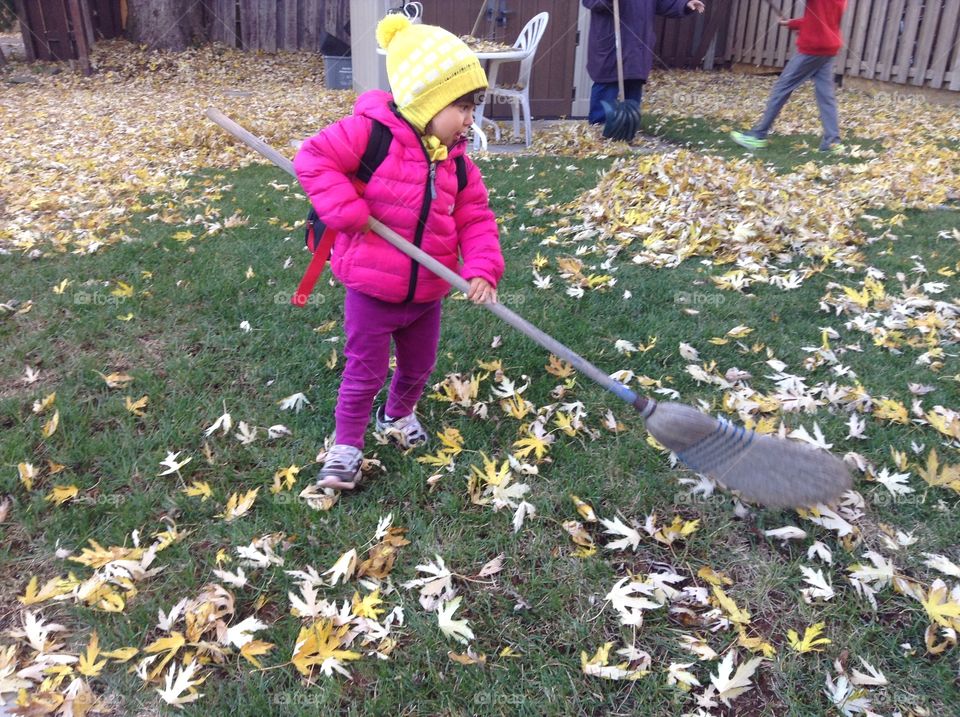 Collecting the leaves