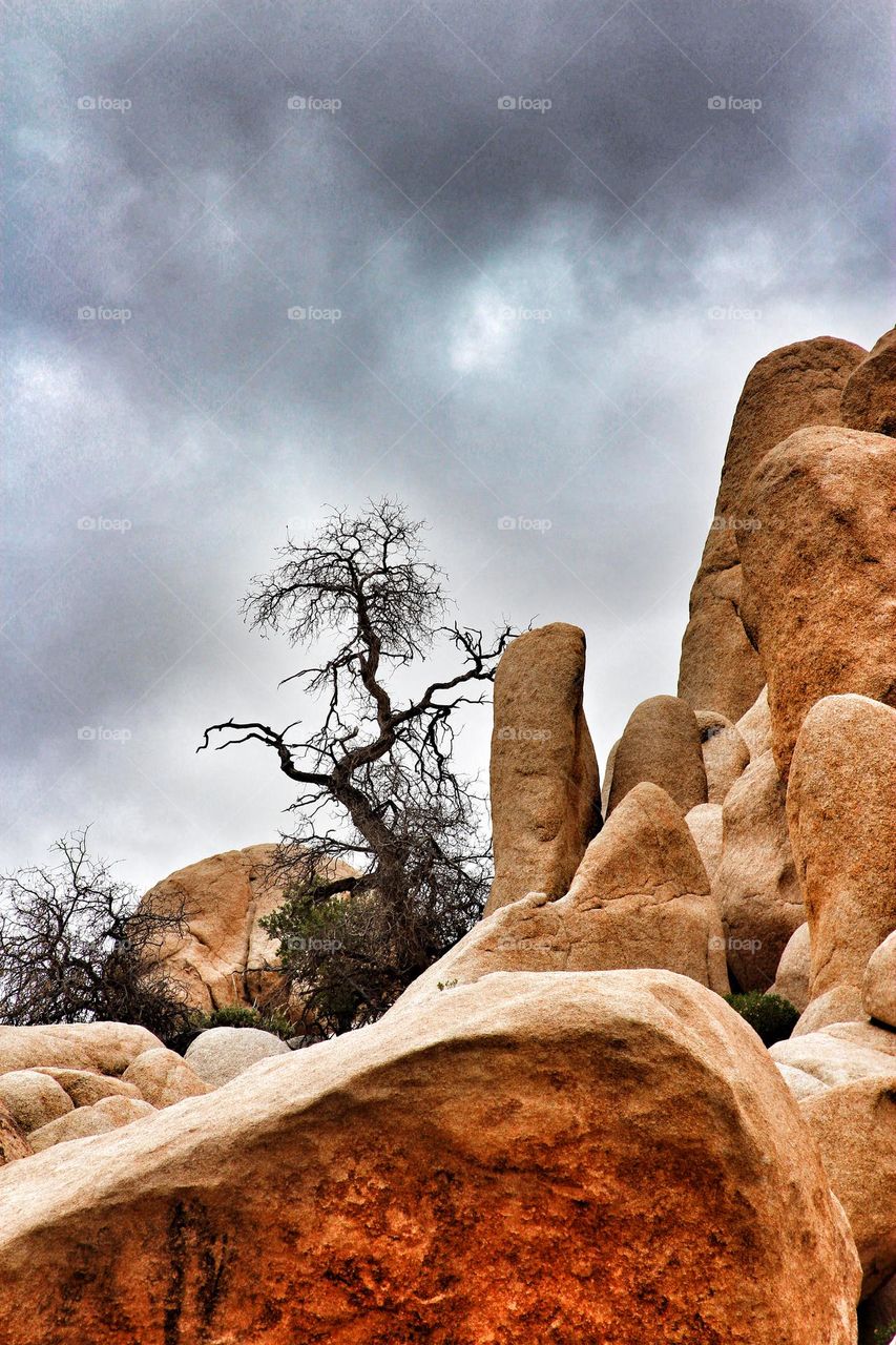 Stunningly beautiful rock formations at Joshua Tree National Park in California, with a cloud cover in the sky as if a storm is brewing 