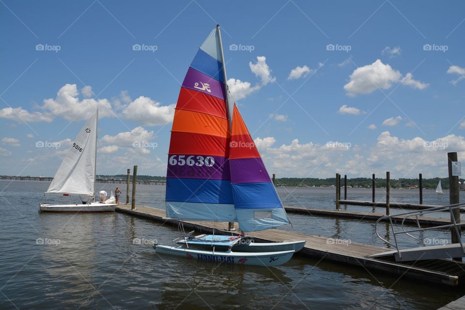 Sailboats