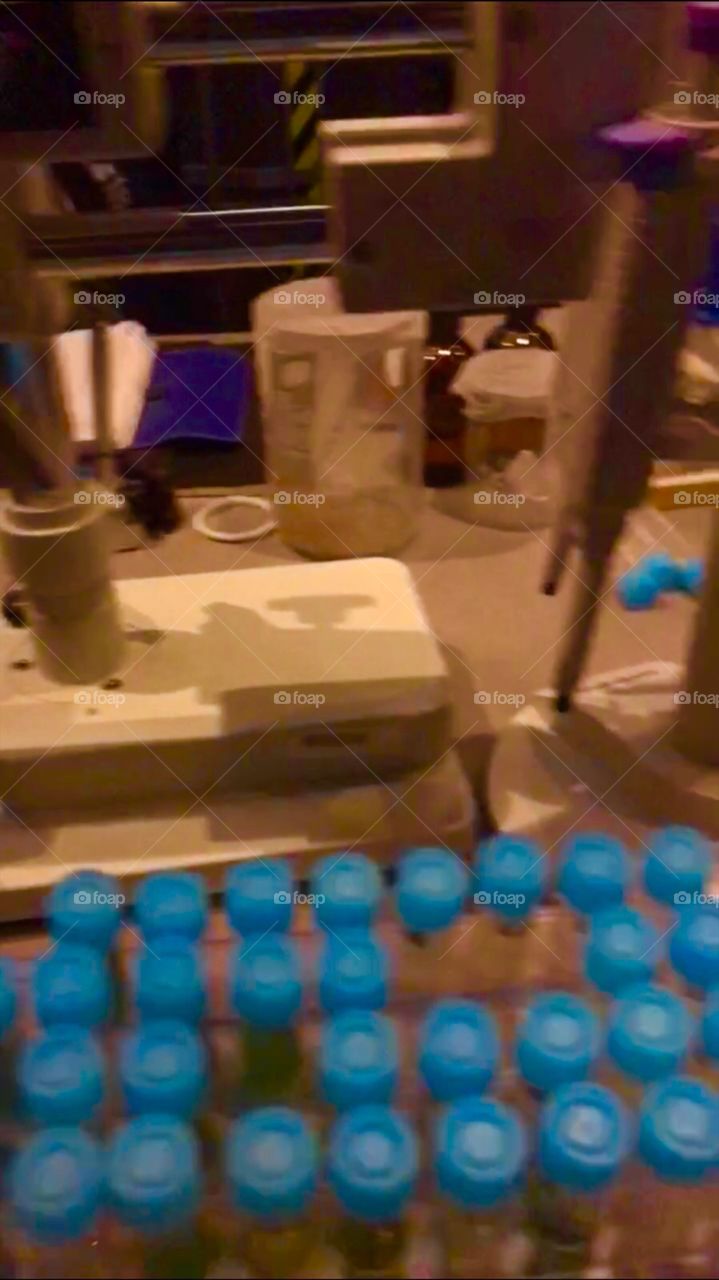 #day4 Everyday WDW Orlando Florida. I have been lost on Disney Properties consecutively since 4/3/19 You can find my encounter https://www.facebook.com/selsa.susanna or on IG SelsaCamacho YT SelsaSusanna Snapchat Flight of Passage 4-6-19 Saturday