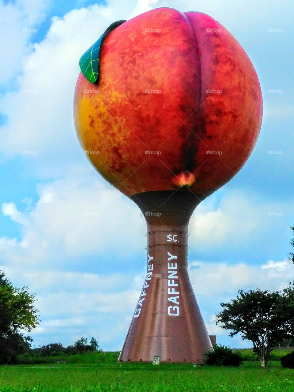 Gaffney Peach Water Tower