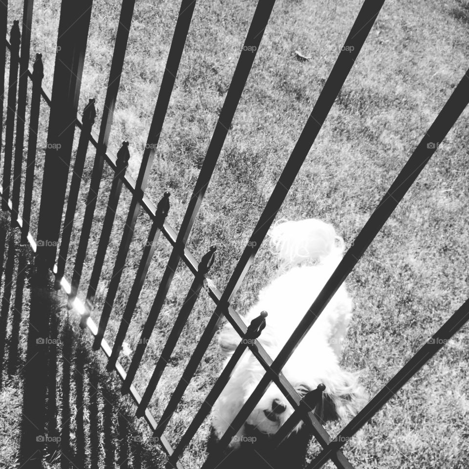 UGGs in my tiny little town