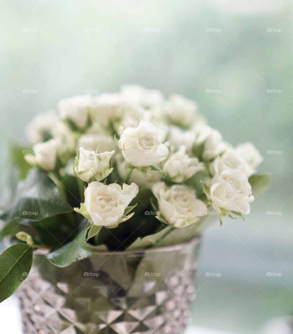 Bouquet of white small roses 