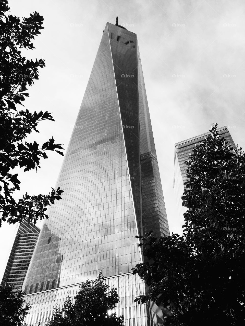 The Freedom Tower. I finally made the trip over to the memorial after years of feeling overwhelmed. It's truly something everyone should do