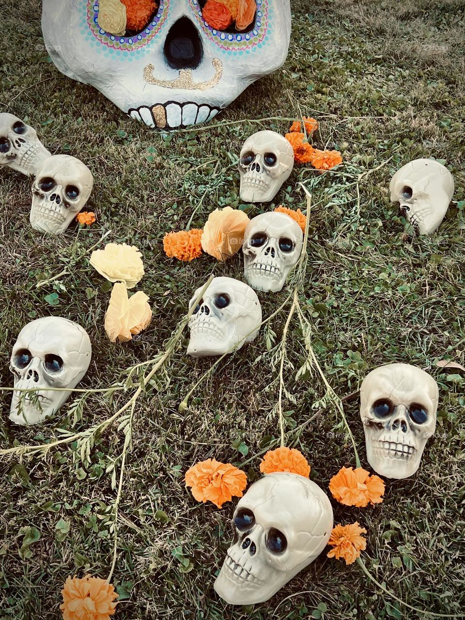 Decorations during a Day of Dead educational event 