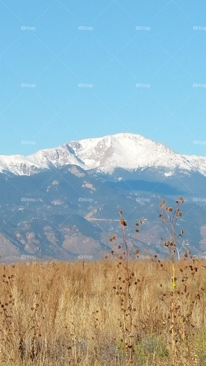 Snow Capped Mountains Against Yellow Grass.  Colorado Springs, Late Fall.  Daytime View