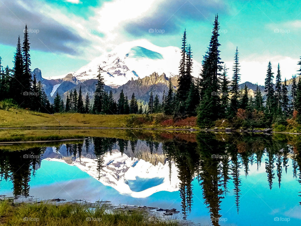 Mt Rainier reflection in lake