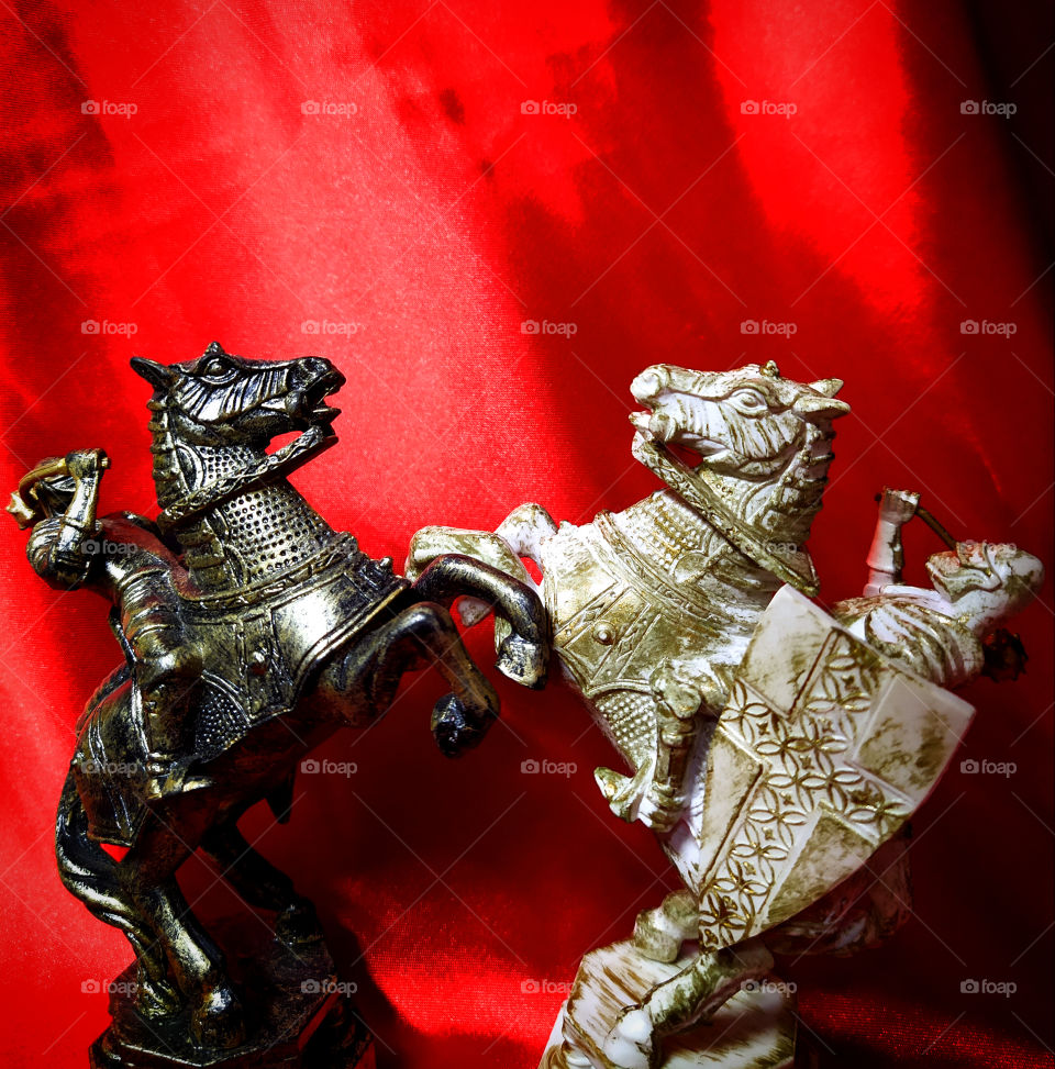 Contrast in chess: black knight and white knight