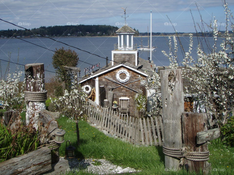 Picturesque whimsical cabin with picket fence rocking chair rustic decor by shore Vashon Island Washington St USA