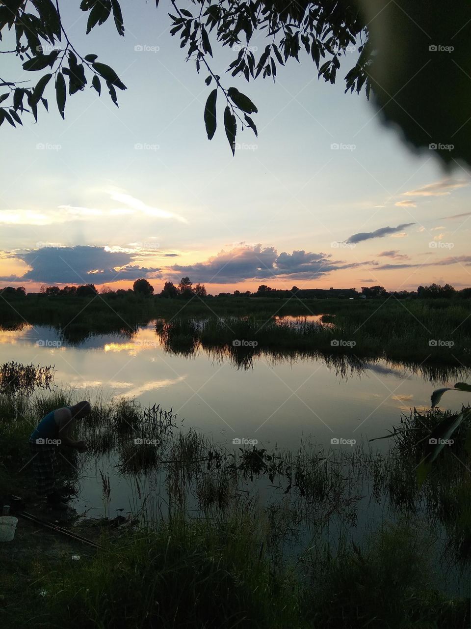 Mobile series landscape