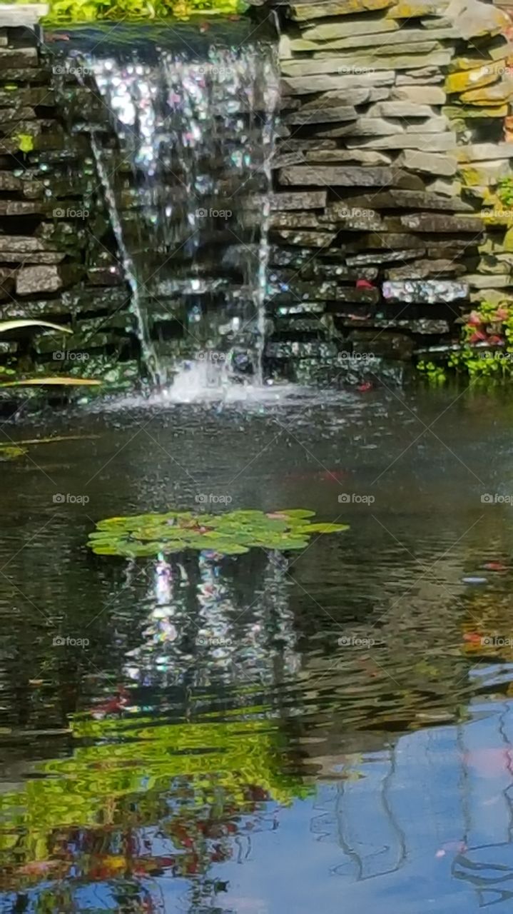 waterfall and big fish