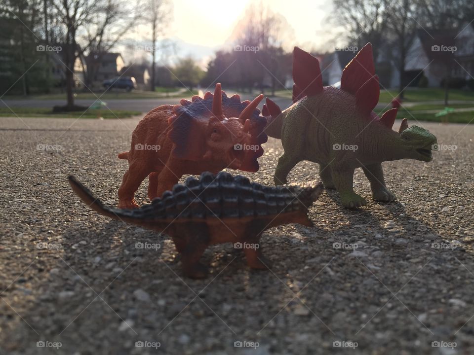 Dinosaurs outside