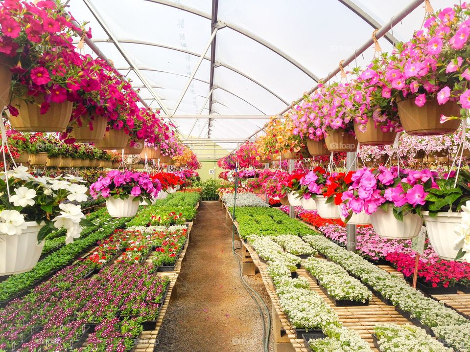 Nursery Aisle in Spring