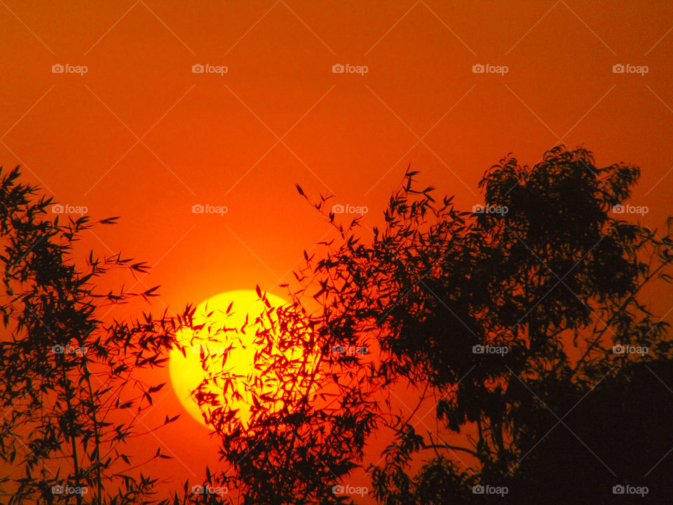 Golden Sun sets after His Duty.