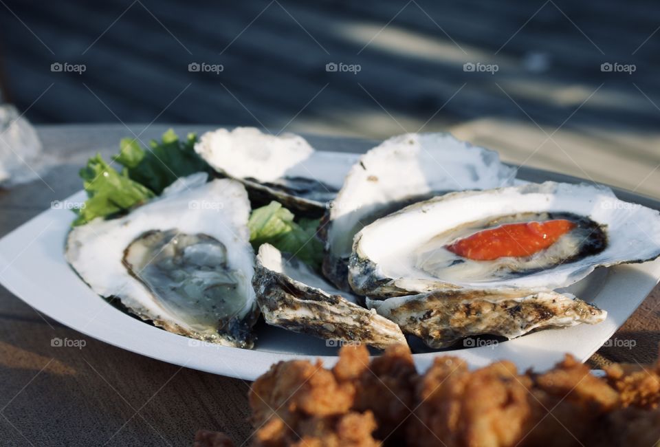 Oysters by the sea