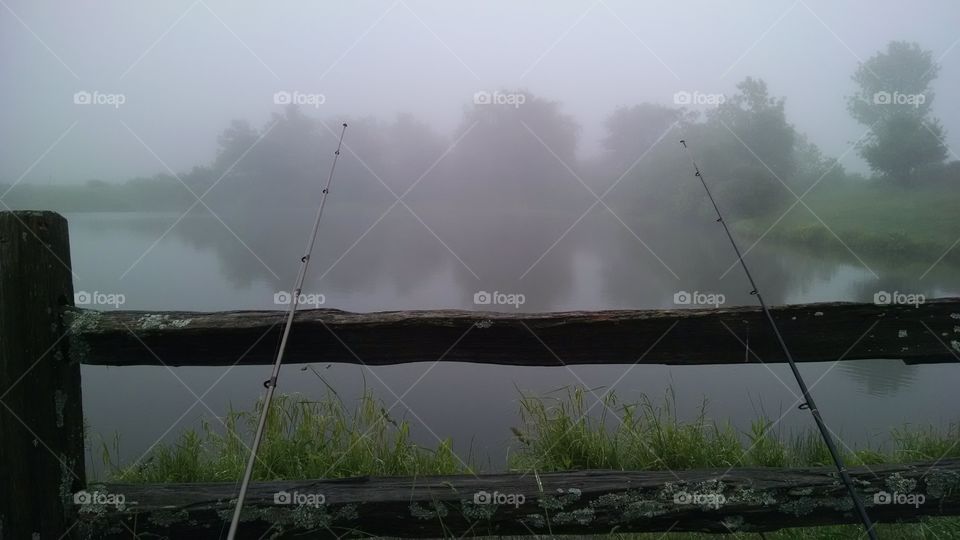 Ballard Pond in the Finger Lakes National Forest! Very foggy!