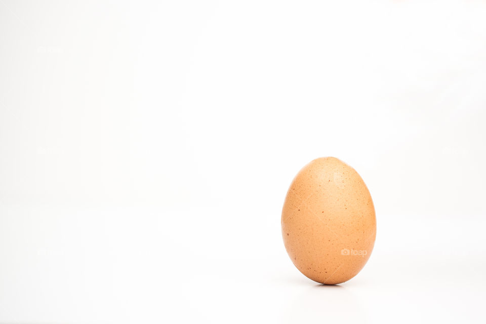 Simple Brown Spotted Egg on White Background 