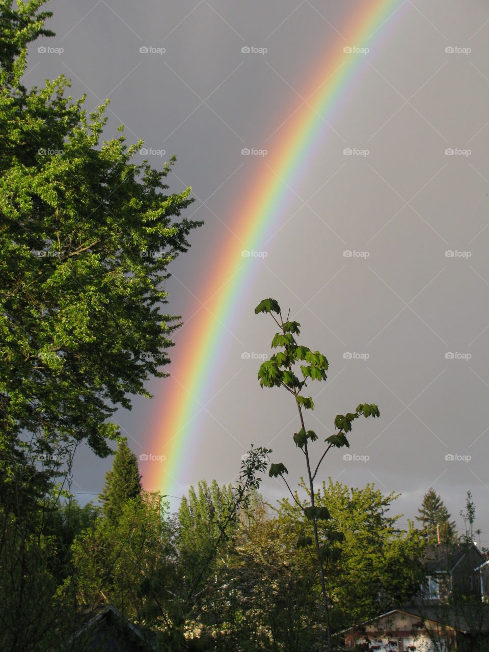 Rainbow. Rainbow seen in Hillsboro,  Oregon. 